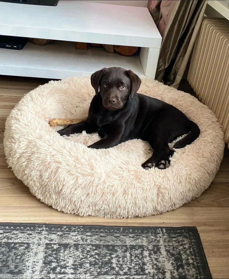 Groot Orthopedisch Hondenbed met Ergonomische Ondersteuning – Zachte, Duurzame, Hypoallergene Comfort voor Alle Rassen