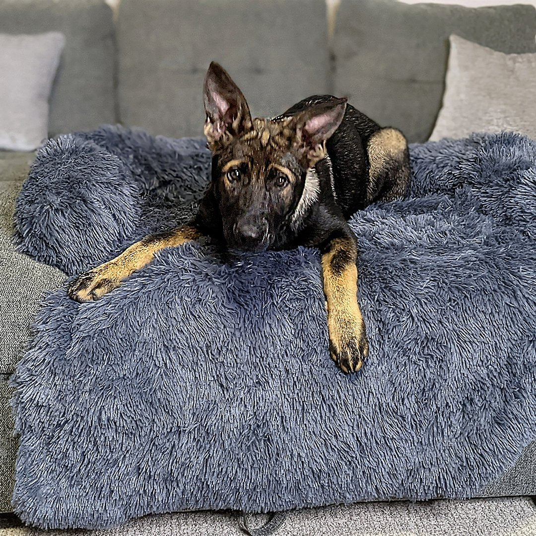 PawsyPillow | Wasbaar, warm en waterdicht herfstkussen voor je hond