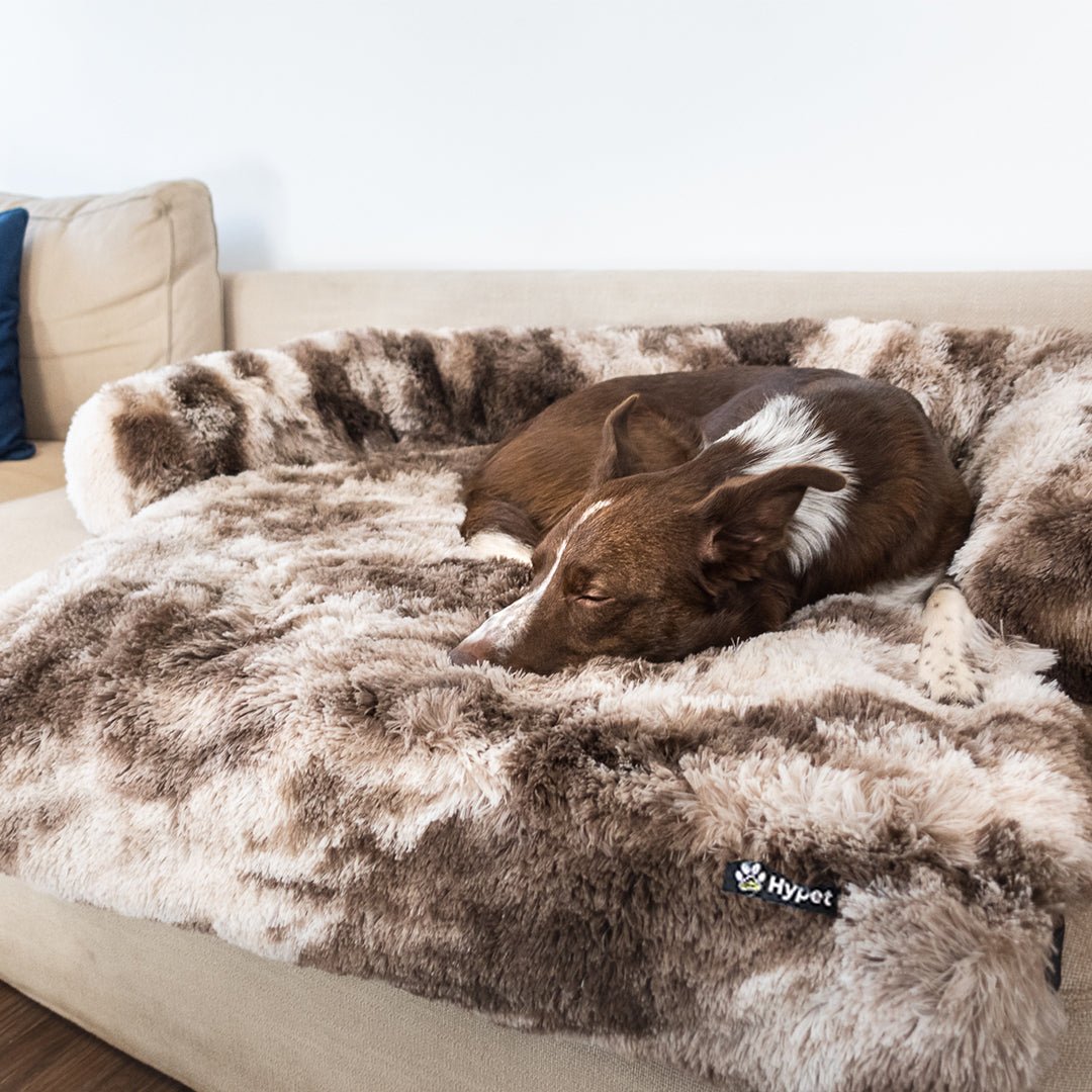 PawsyPillow | Wasbaar, warm en waterdicht herfstkussen voor je hond