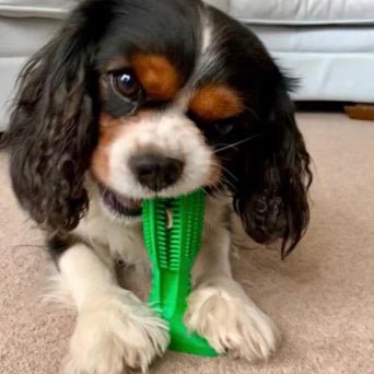 Duurzaam Hondentandenborstel Speelgoed – Sterk Natuurrubber Kauwspeelgoed voor Tandheelkundige Gezondheid en Frisse Adem