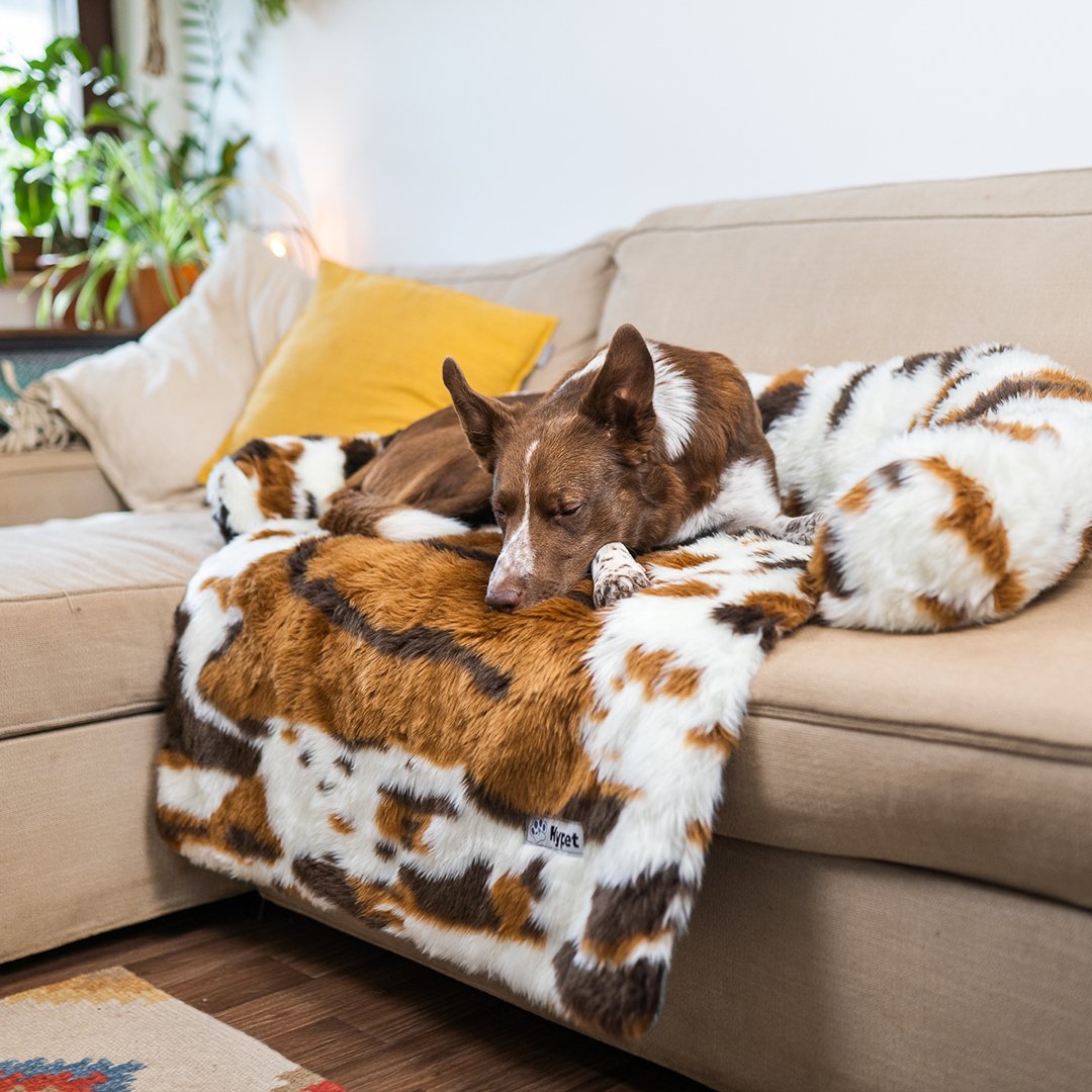 PawsyPillow | Wasbaar, warm en waterdicht herfstkussen voor je hond
