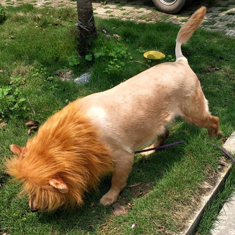 Hond Realistische Leeuwenmanen Halloween Kostuum | Verstelbaar Lichtgewicht