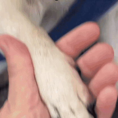 Clippix | Veilige Nagelknipbeurt Zonder Risico of Stress