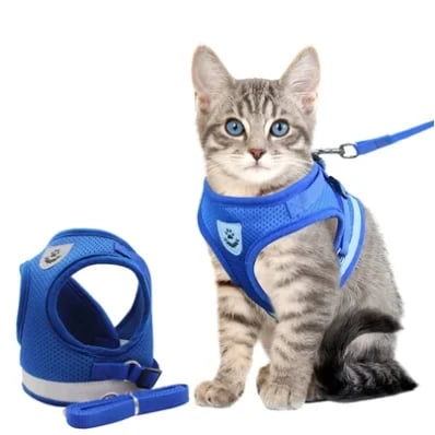 Reflecterende Kat Harnas en Leash Set met Verstelbare Bandjes voor Veilige Nachtavonturen – Comfortabele Pasvorm voor Katten en Kittens