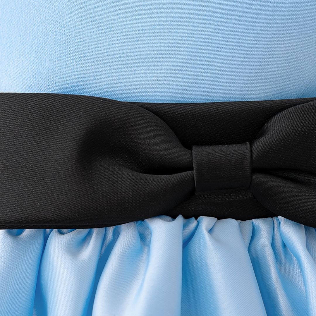 Meisjes Puff Sleeve Verhaalboek Halloween Kostuum Jurk | Mini