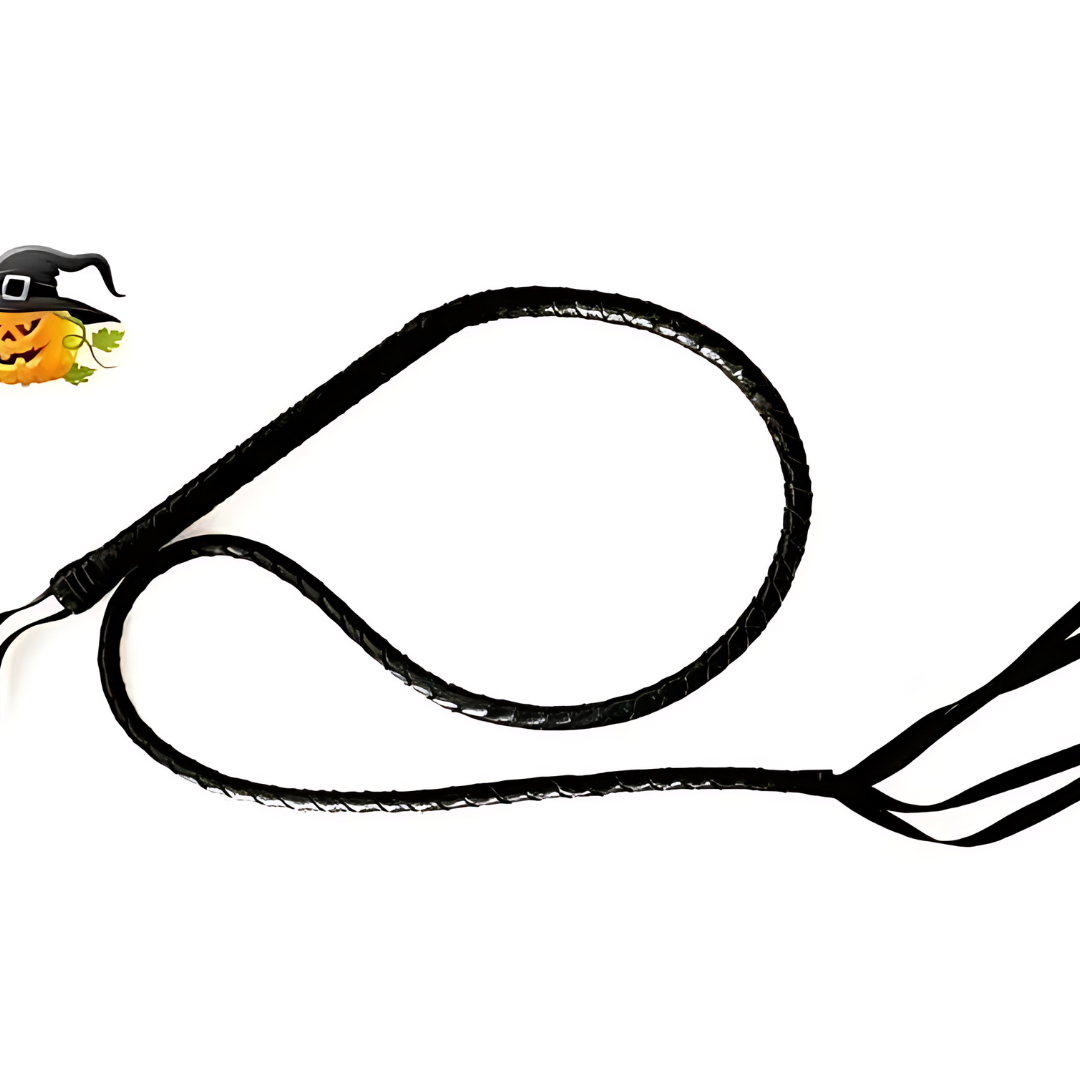 Vrouwelijk Glanzend Halloween Kostuum Catsuit | Lange Mouwen