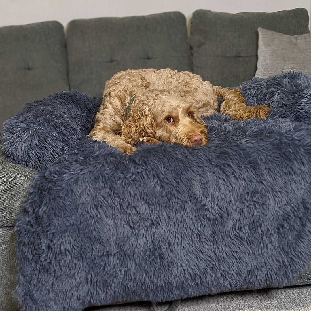 PawsyPillow | Wasbaar, warm en waterdicht herfstkussen voor je hond