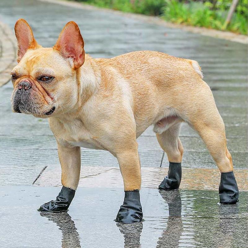 PootShield Waterdichte Hondenschoenen met Grip en Beschermend Comfort