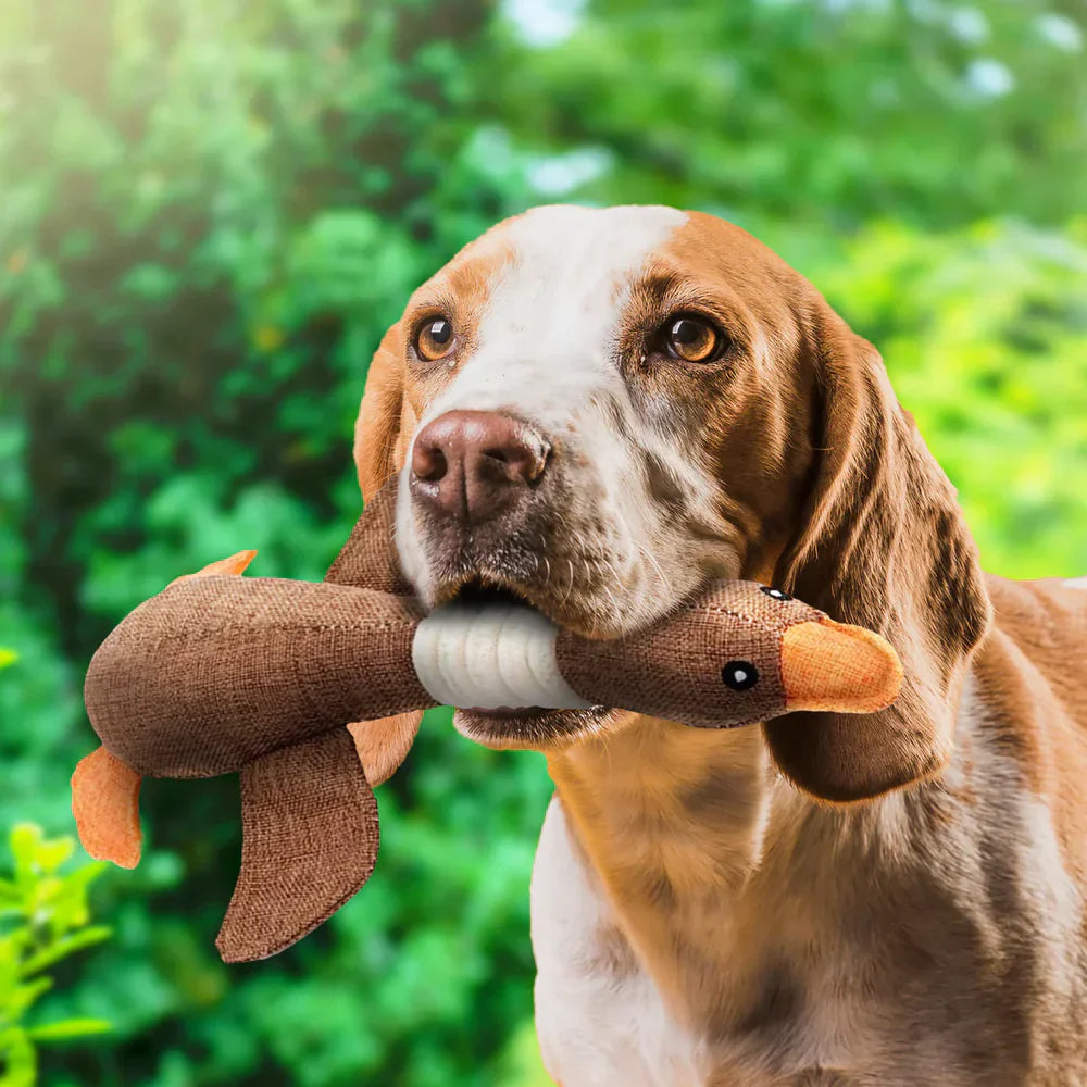 Duurzaam Interactief Eend Huisdier Speelgoed – Sterk Hond Kauwspeelgoed voor Veilige Speelervaring en Eindeloos Plezier, 30 Centimeter Lang