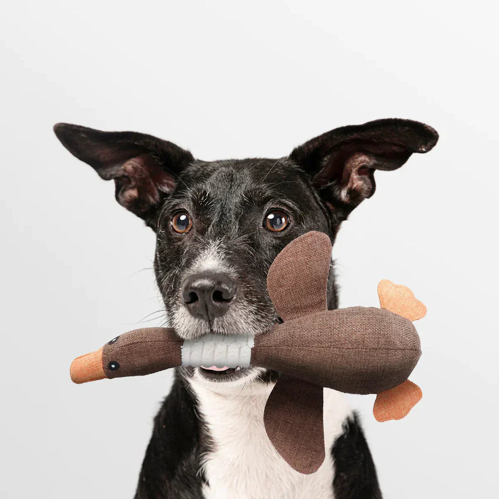 Duurzaam Interactief Eend Huisdier Speelgoed – Sterk Hond Kauwspeelgoed voor Veilige Speelervaring en Eindeloos Plezier, 30 Centimeter Lang