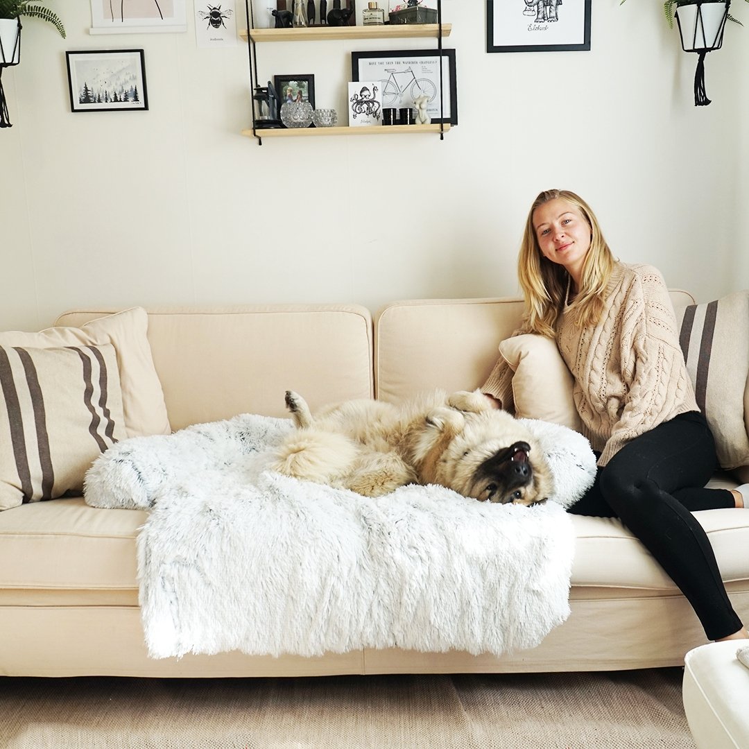 PawsyPillow | Wasbaar, warm en waterdicht herfstkussen voor je hond