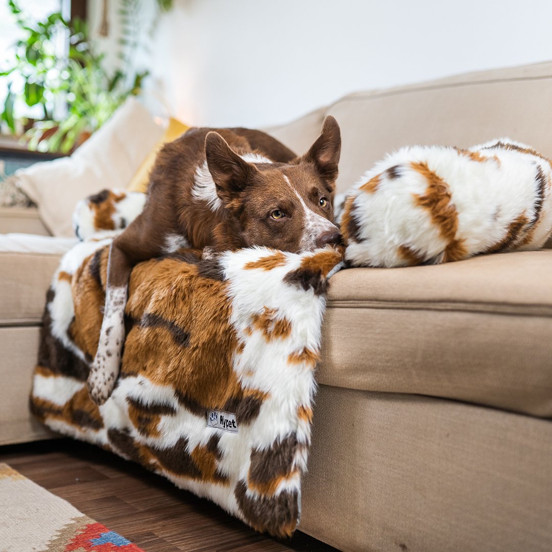 PawsyPillow | Wasbaar, warm en waterdicht herfstkussen voor je hond
