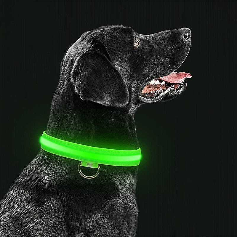 Luminous Dierenhalsband met LED-licht – Oplaadbaar, Waterbestendig, Verstelbare Pasvorm voor Verbeterde Veiligheid 's Nachts