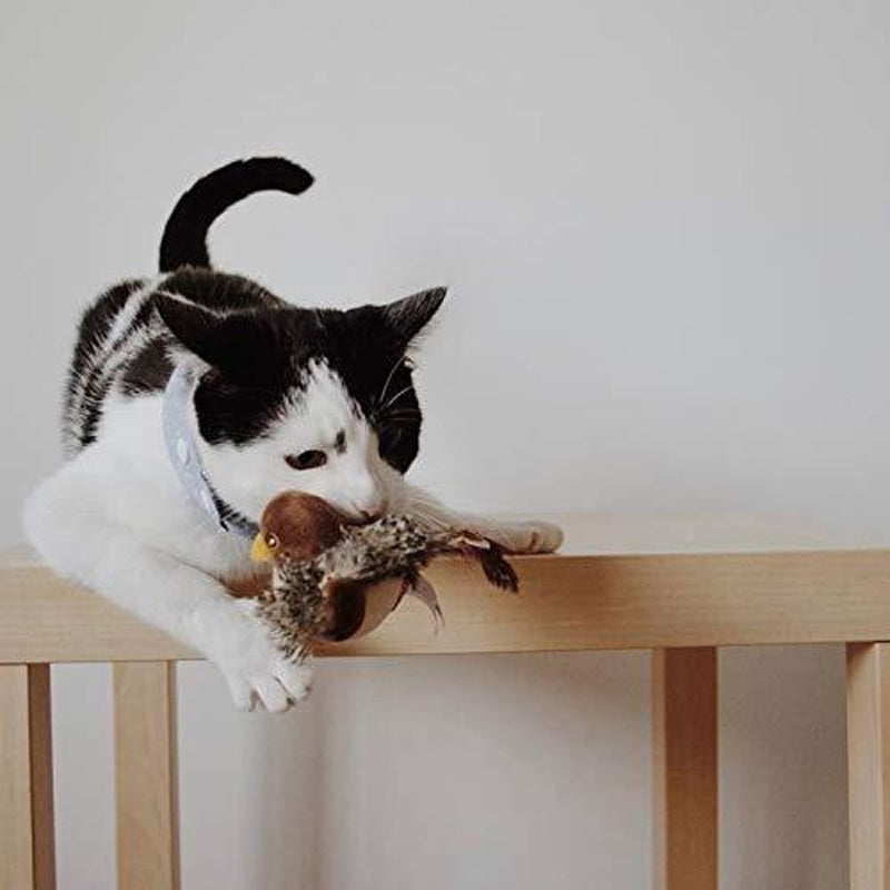 BirdyPurr - De veilige speelkameraad voor uw kat!