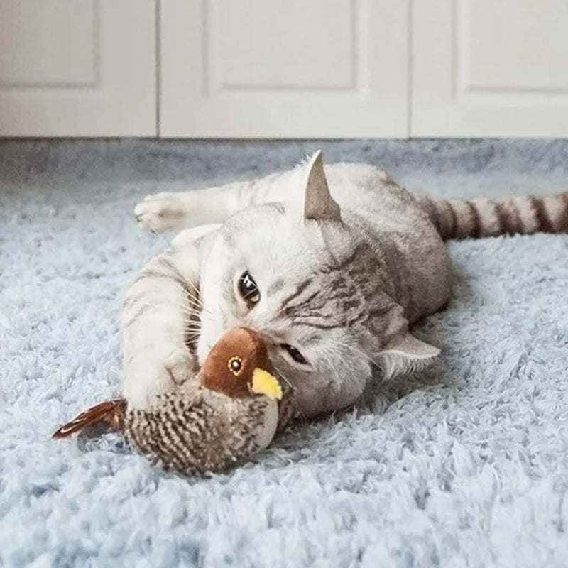 BirdyPurr - De veilige speelkameraad voor uw kat!
