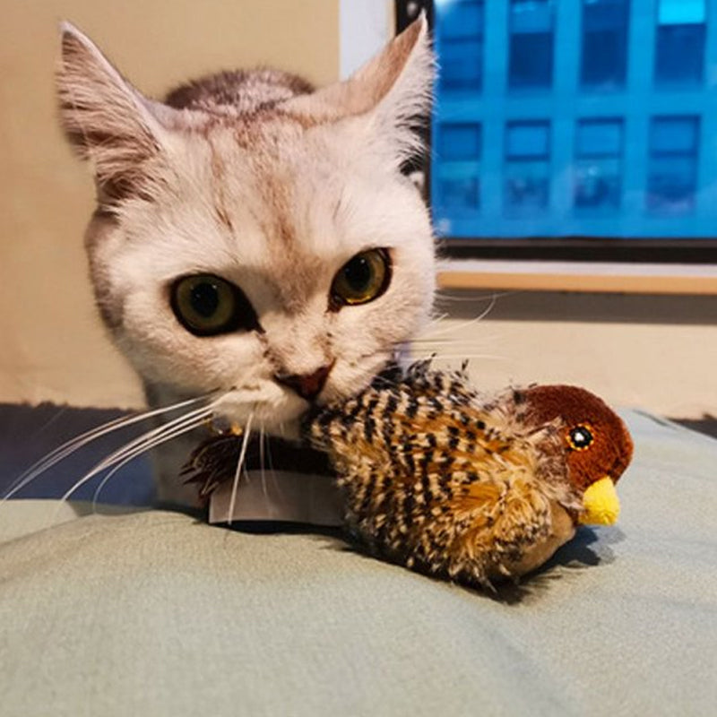 BirdyPurr - De veilige speelkameraad voor uw kat!