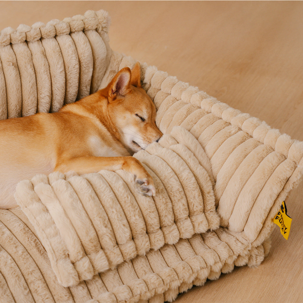 PawCushion | wasbare orthopedische slaapbank voor huisdieren