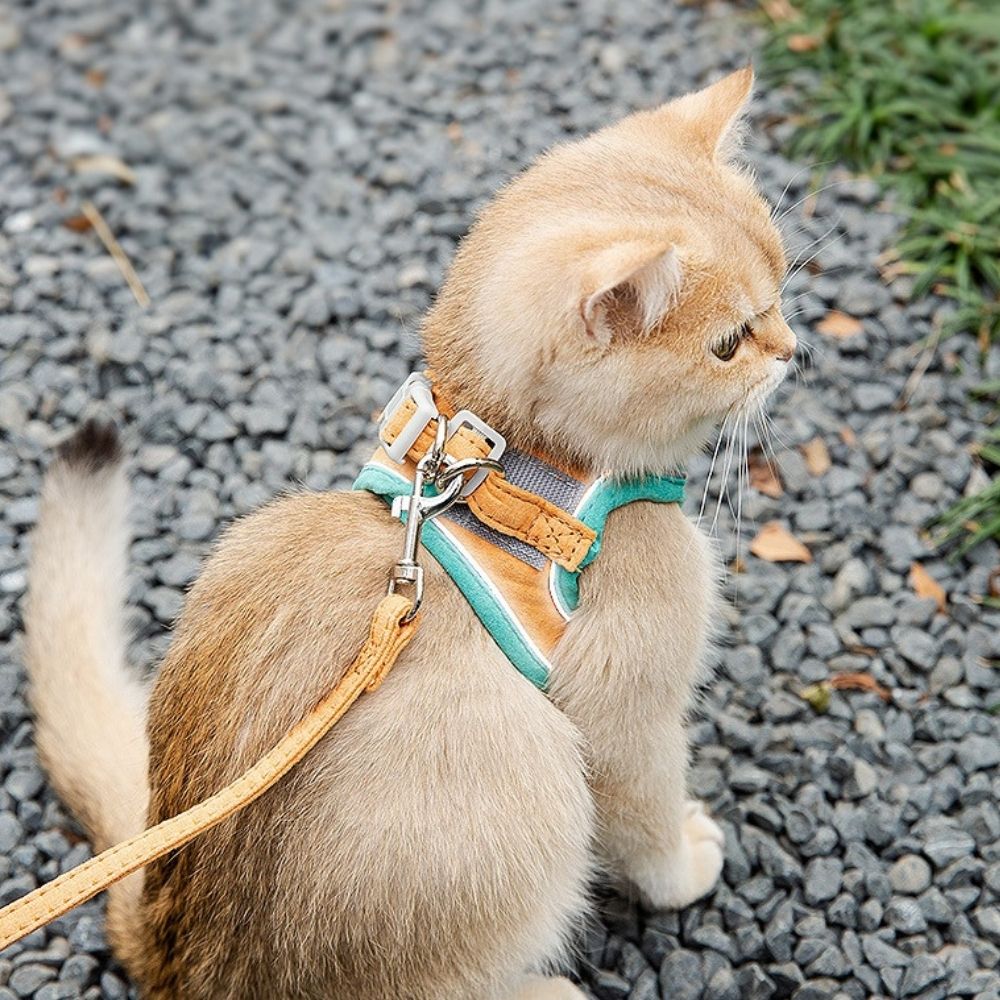 Ontsnap-Veilige Kat Harnas en Leash Set – Verstelbaar, Comfortabel, Ademend Stof voor Veilige Buitenavonturen