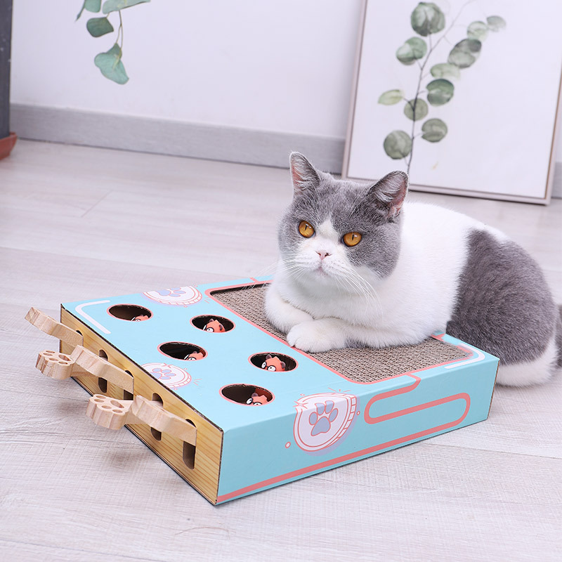 3-in-1 Interactief Katten Speelplein met Krabpaal, Milieuvriendelijk Kartonontwerp, Ruimtebesparend Speelgoed voor Actief Spel