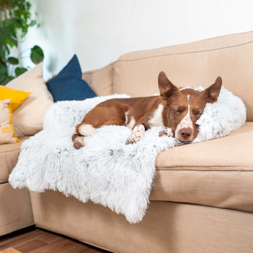 Waterafstotende Hondenbed Bescherming met Zachte Vegan Bont – Antislip, Comfortabel, Geschikt voor Alle Hondenformaten