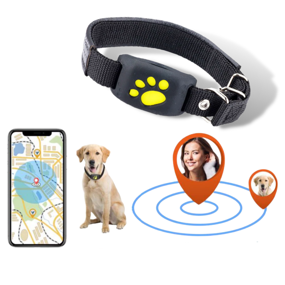 GPS Volgband voor Huisdieren