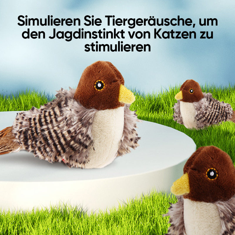 BirdyPurr - De veilige speelkameraad voor uw kat!