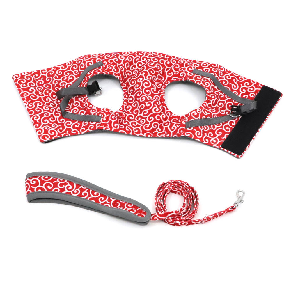 Stijlvol Kattenharnas met Bijpassende Leash - Comfortabel en Gemakkelijk te Dragen, Verstelbare Pasvorm voor Katten en Kittens