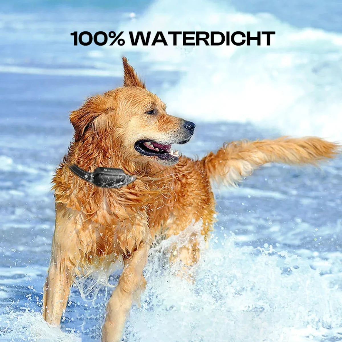 Elektrische Honden Trainingshalsband met Afstandsbediening, Waterdicht, 16 Verstelbare Schokniveaus, 1000m Bereik, Pieptoon & Trilmodes