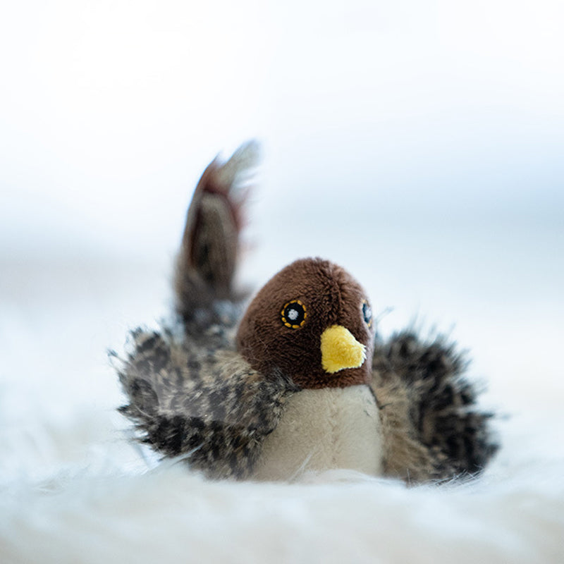 BirdyPurr - De veilige speelkameraad voor uw kat!