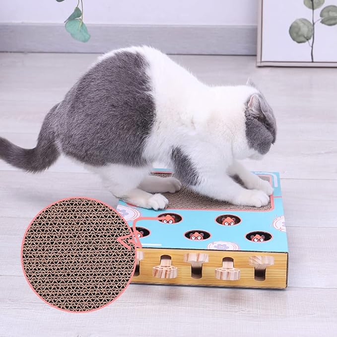 3-in-1 Interactief Katten Speelplein met Krabpaal, Milieuvriendelijk Kartonontwerp, Ruimtebesparend Speelgoed voor Actief Spel