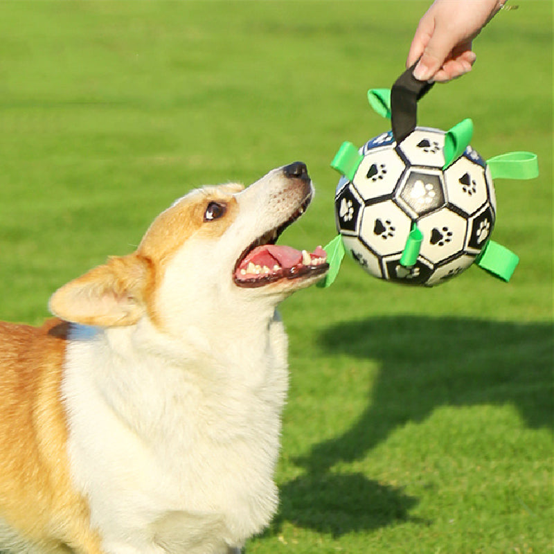 CanineElegance Luxe Voetbal | Duurzaam en plezierig speelplezier voor honden
