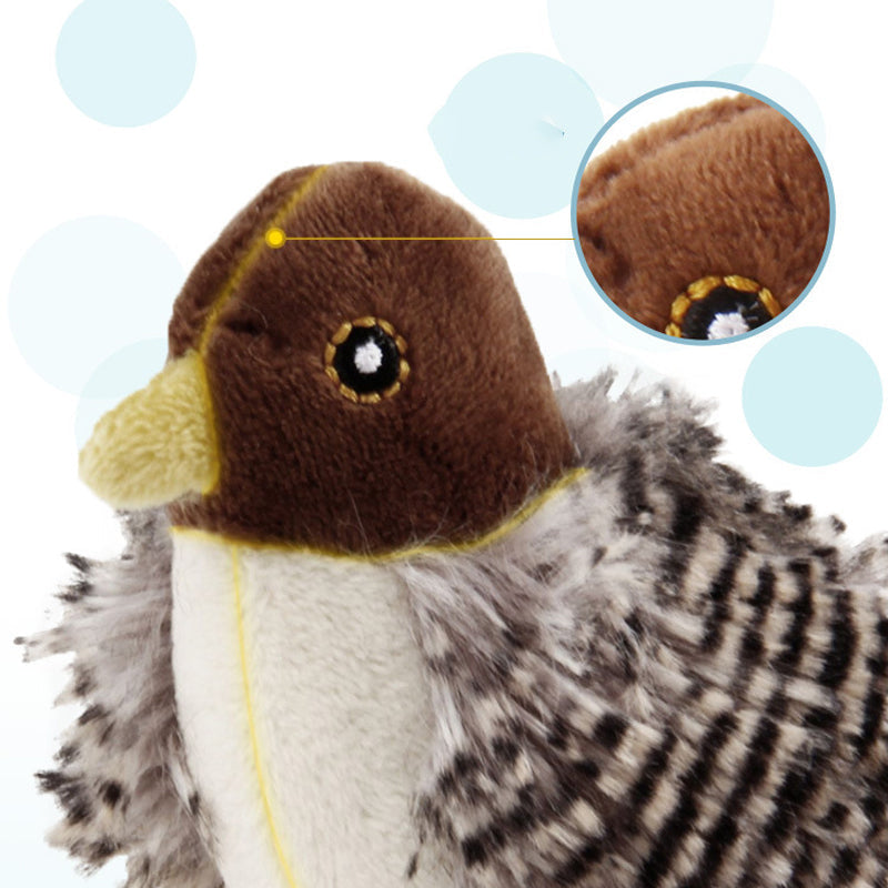BirdyPurr - De veilige speelkameraad voor uw kat!