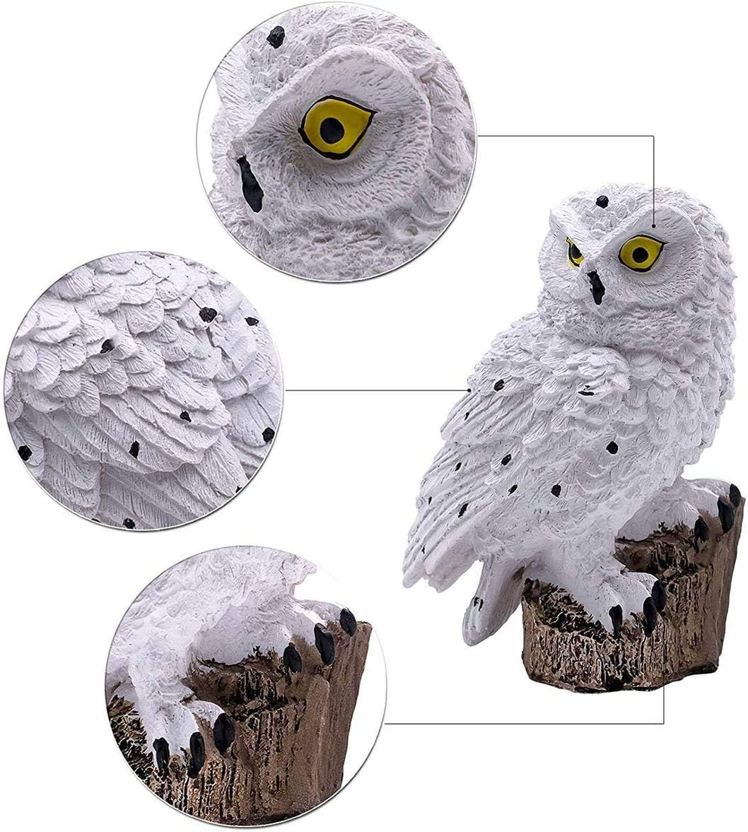 SolarGlow Tuinlamp | Milieuvriendelijke solar lamp voor een levendige buitenambiance