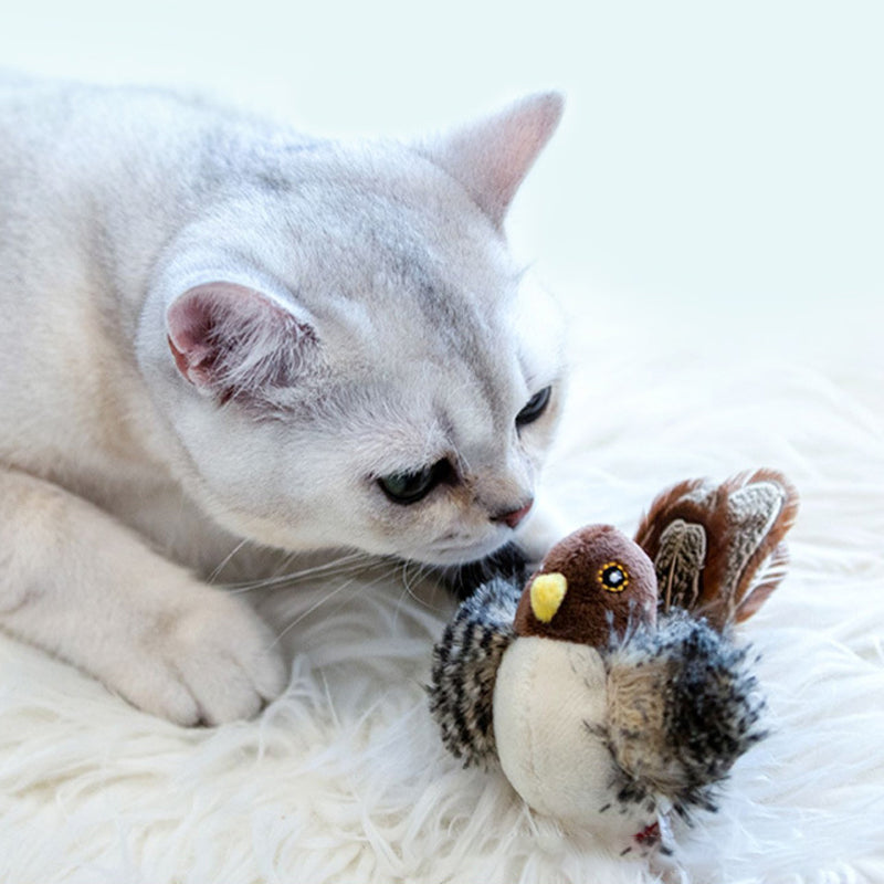 BirdyPurr - De veilige speelkameraad voor uw kat!