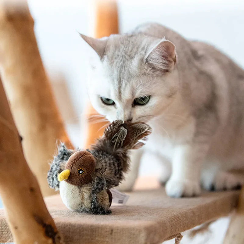 BirdyPurr - De veilige speelkameraad voor uw kat!