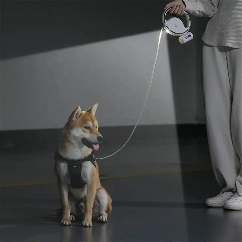 Automatische Hondenlijn LumoLeash | Met LED-licht & ergonomische grip | Terugtrekmechanisme | Voor kleine & middelgrote honden