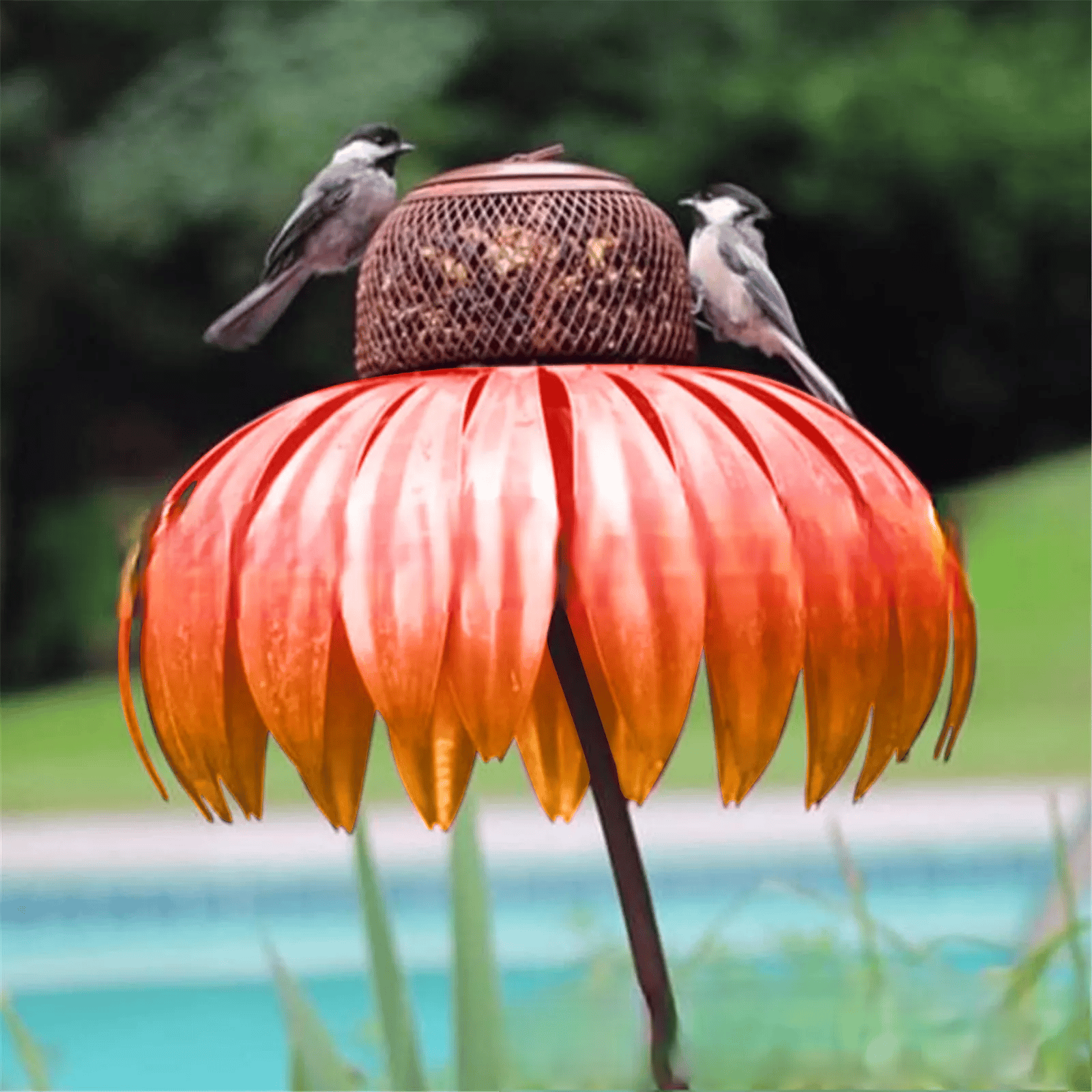 FloraNest Vogelvoederhuis | Geniet van gratis Kegelbloemen voor een kleurrijke tuin