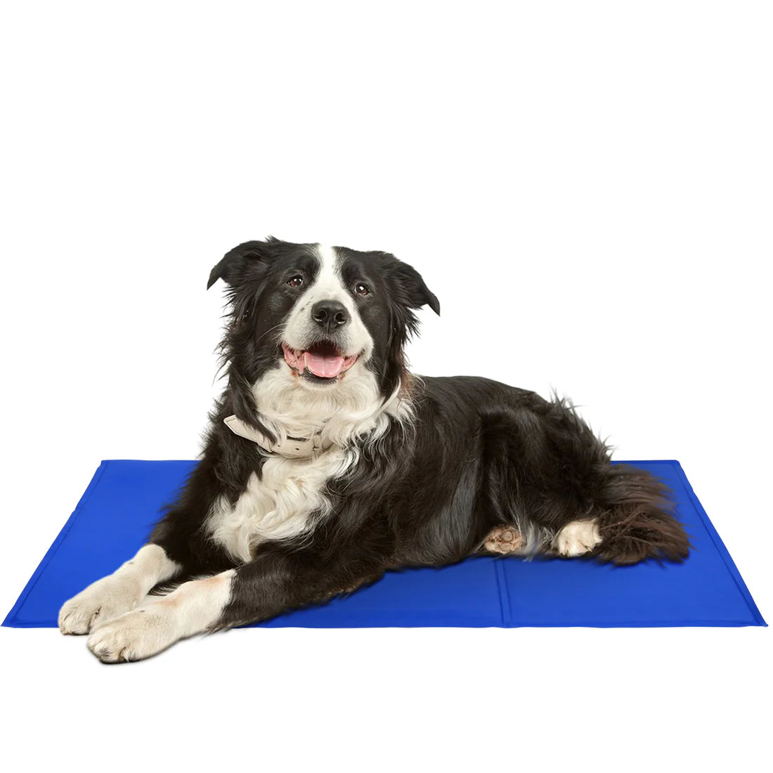 FrescuraPet Koelmat voor Honden & Katten | Zelfkoelend & Gewrichtsbesparend | Opvouwbaar & Draagbaar | 5 Maten | Blauw