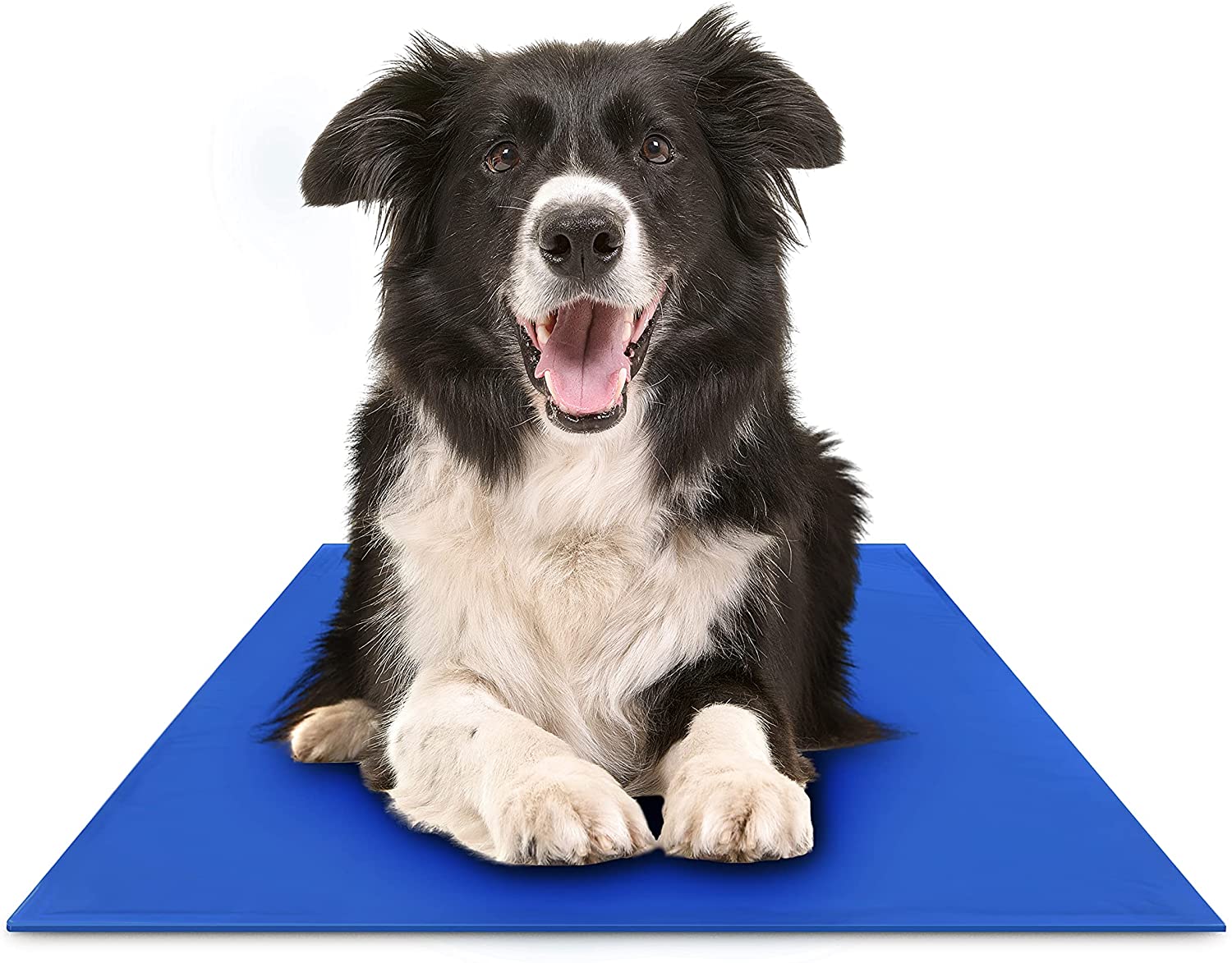 FrescuraPet Koelmat voor Honden & Katten | Zelfkoelend & Gewrichtsbesparend | Opvouwbaar & Draagbaar | 5 Maten | Blauw