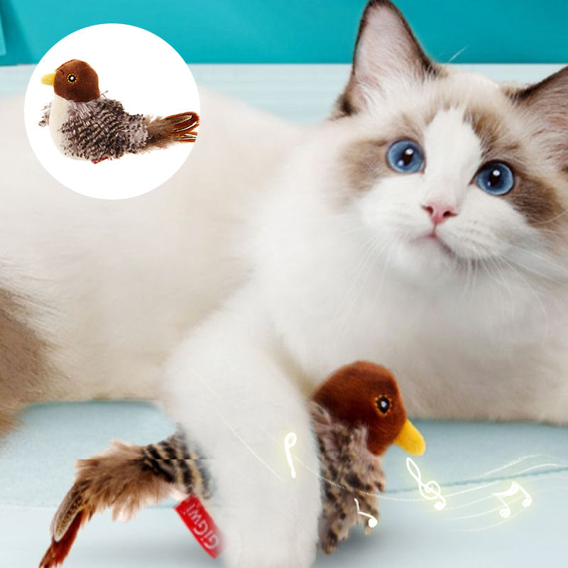 BirdyPurr - De veilige speelkameraad voor uw kat!