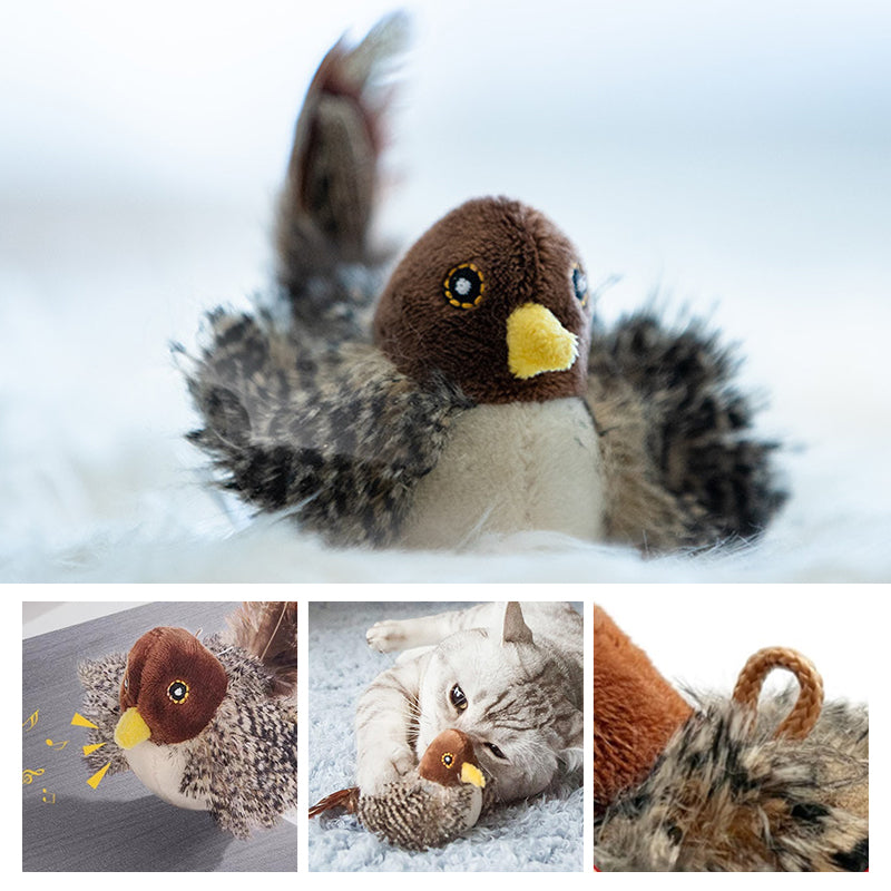 BirdyPurr - De veilige speelkameraad voor uw kat!