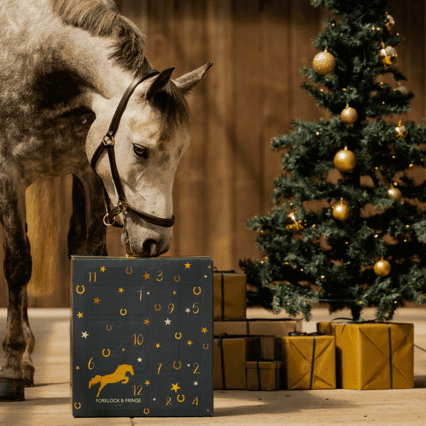 EquiTrend | 2025 Adventskalender voor Paardenliefhebbers