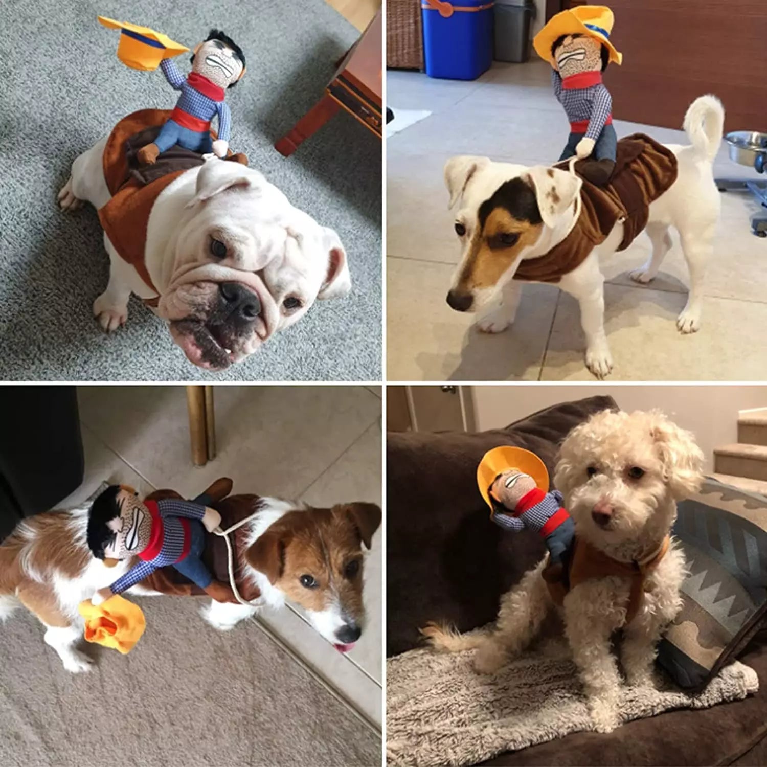 Halloween Cowboy Hond Kostuum Outfit