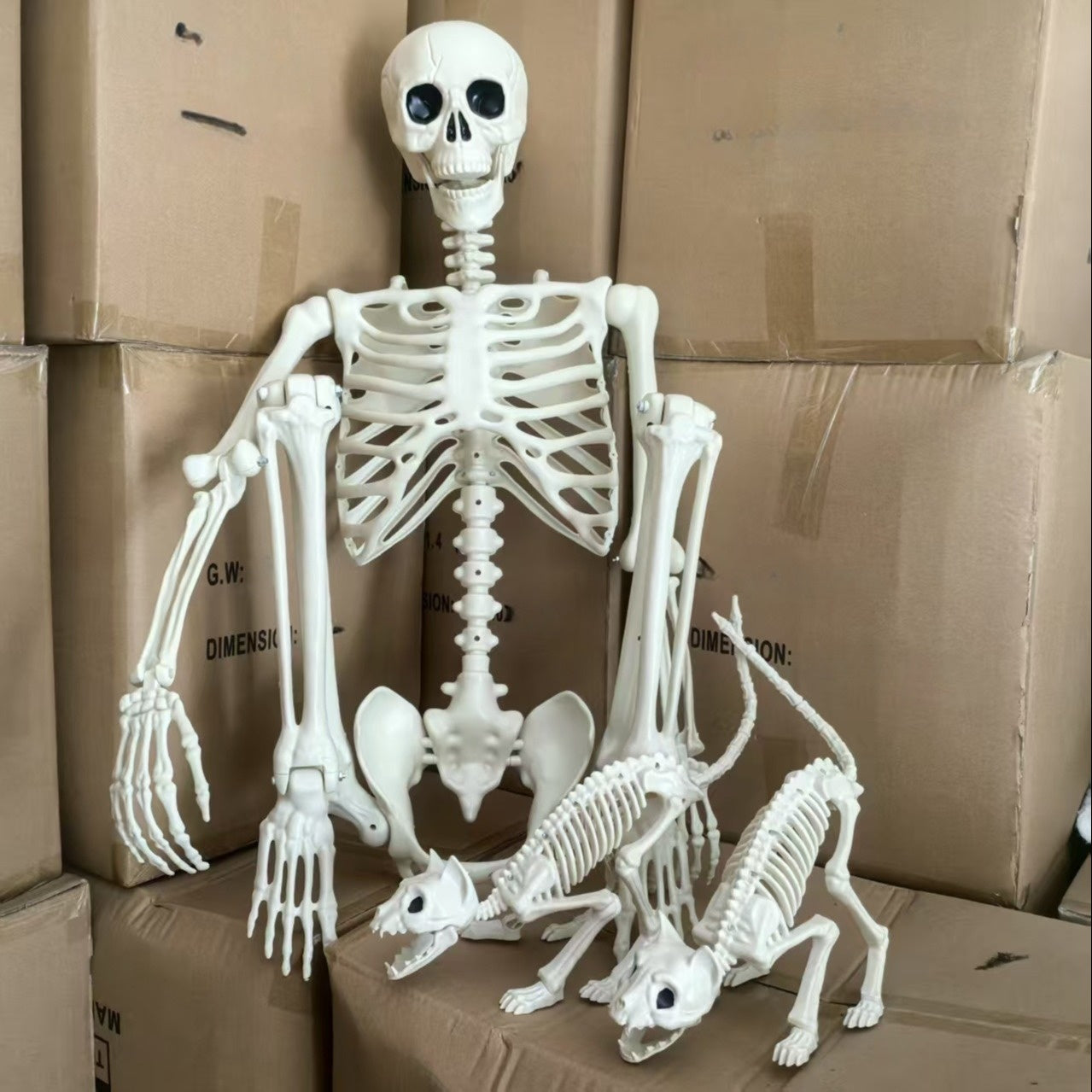 Halloween Decor Poseerbare Skelet Set