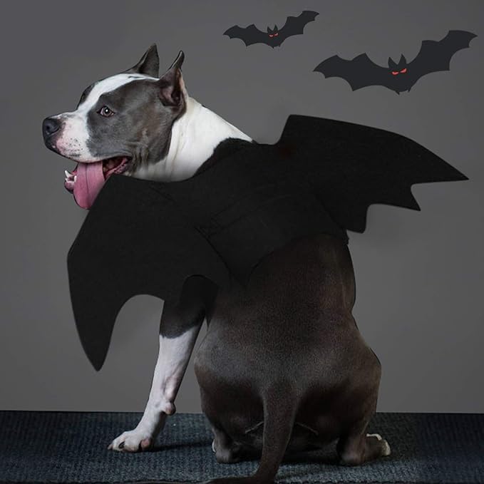 Halloween Hondenkostuum Vleermuisvleugels