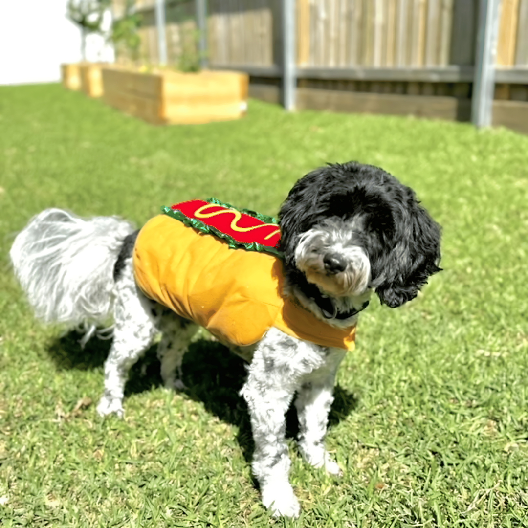 Halloween Hotdog Huisdier Kostuum