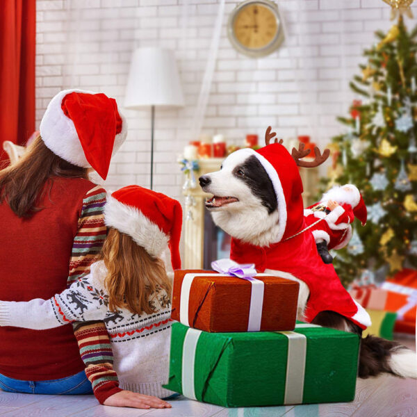 HollyPaws - knus, verstelbaar kerstoutfit voor honden