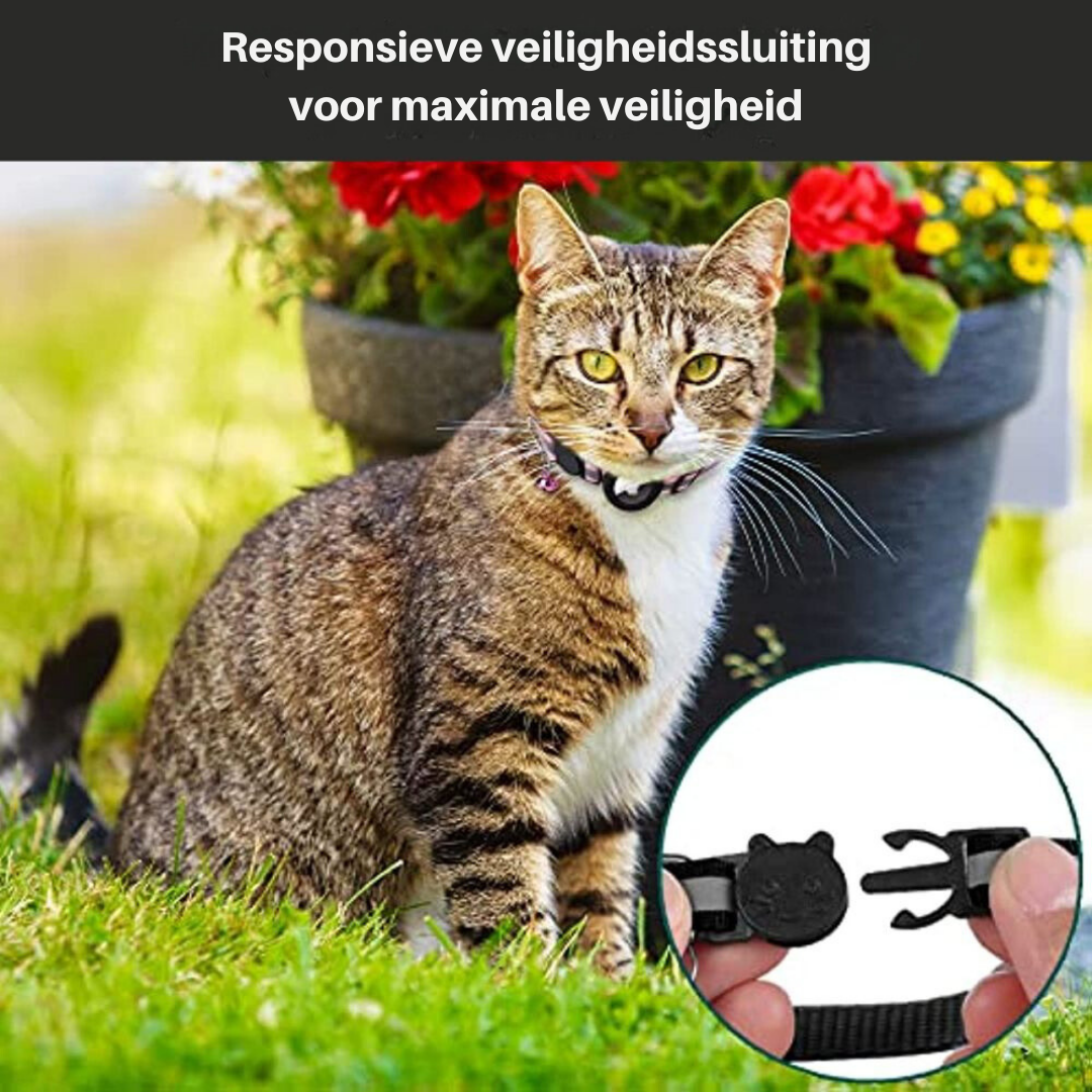 Kat GPS Tracker Halsband met Snelsluiting en Reflectief Ontwerp voor Verbeterde Nachtzichtbaarheid