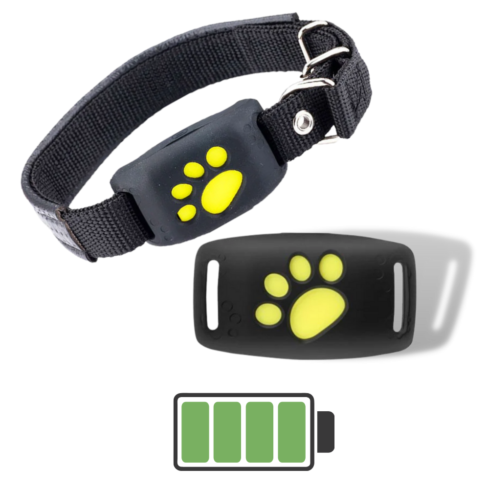 GPS Volgband voor Huisdieren