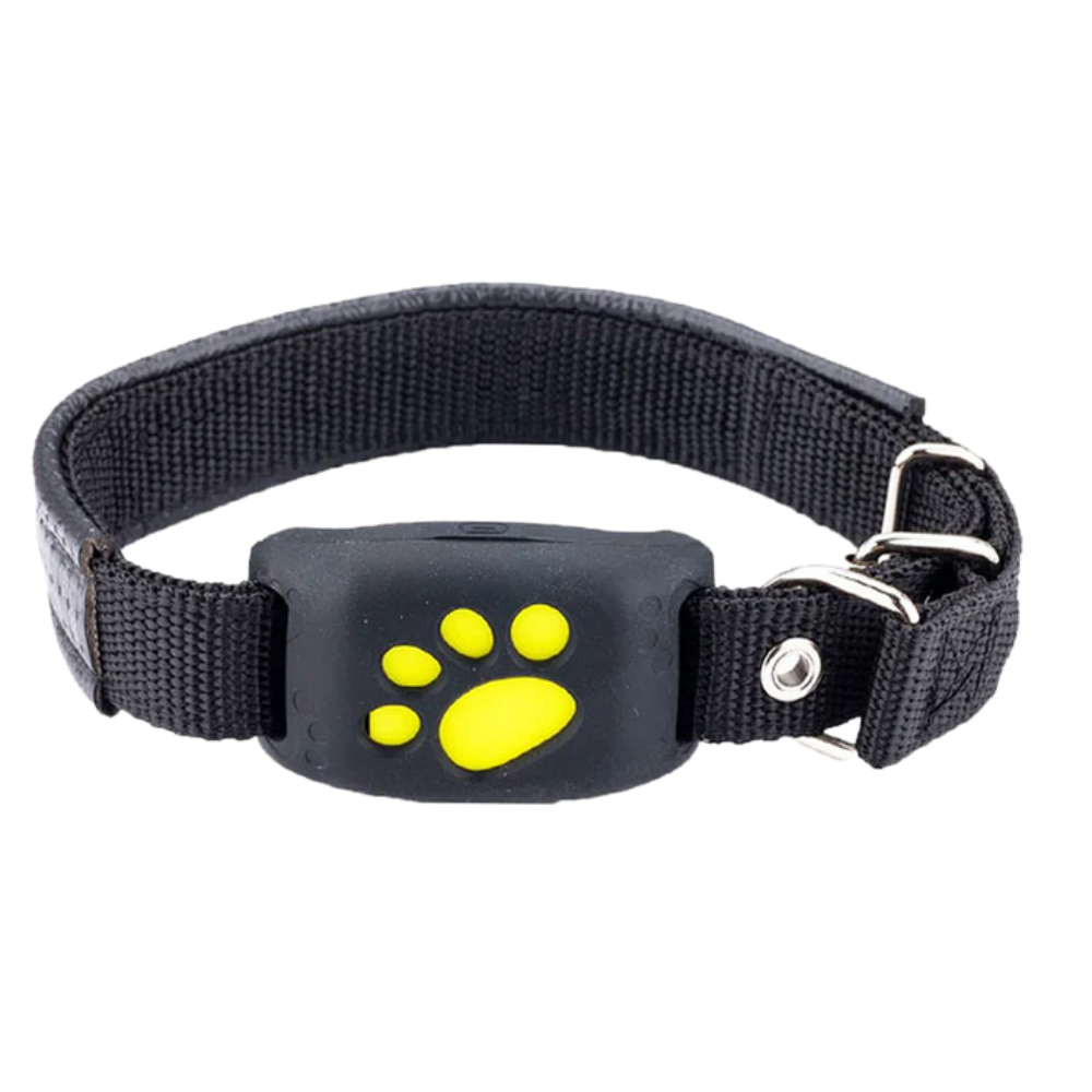GPS Volgband voor Huisdieren